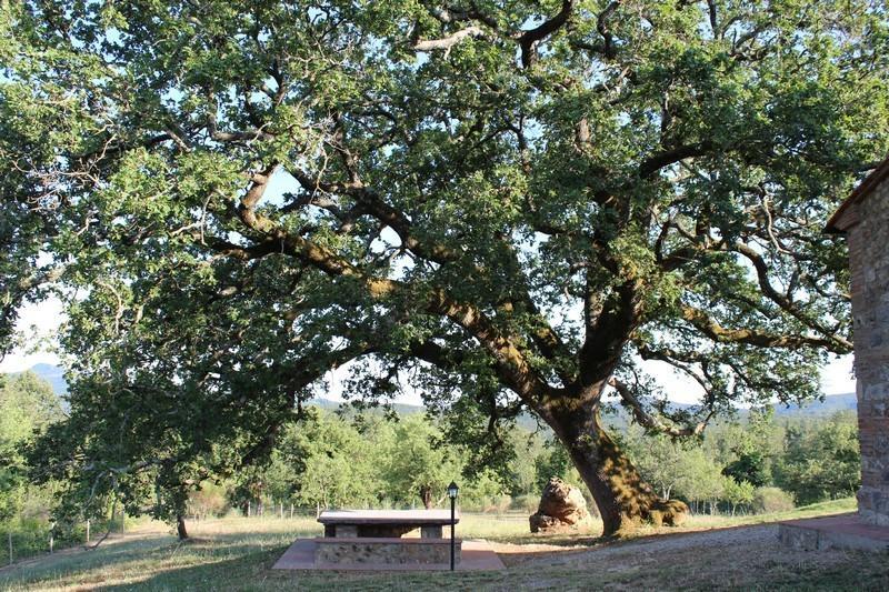 Agriturismo La Quercia Boccheggiano Dış mekan fotoğraf