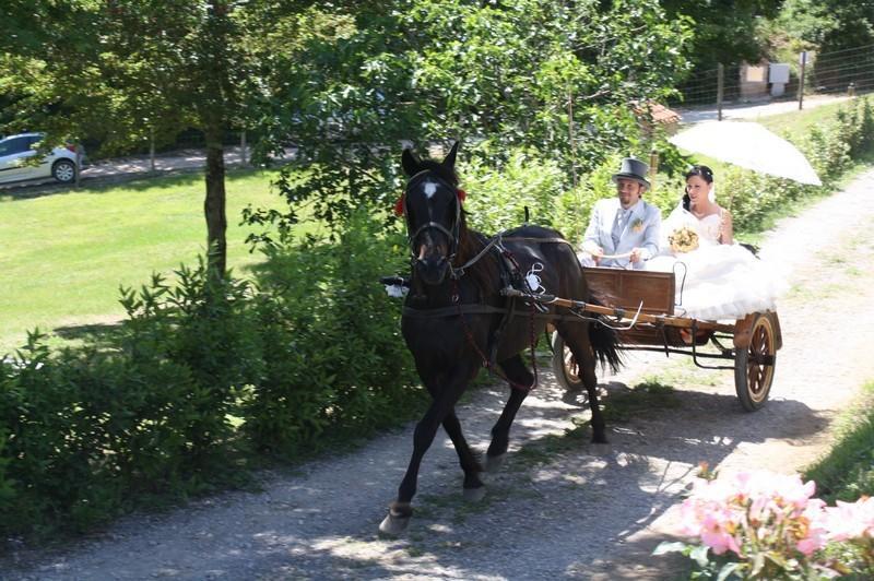 Agriturismo La Quercia Boccheggiano Dış mekan fotoğraf