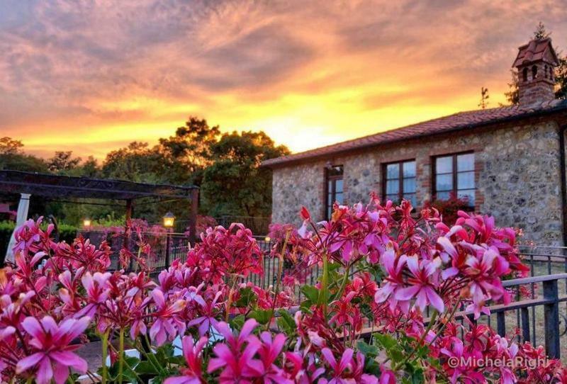 Agriturismo La Quercia Boccheggiano Dış mekan fotoğraf